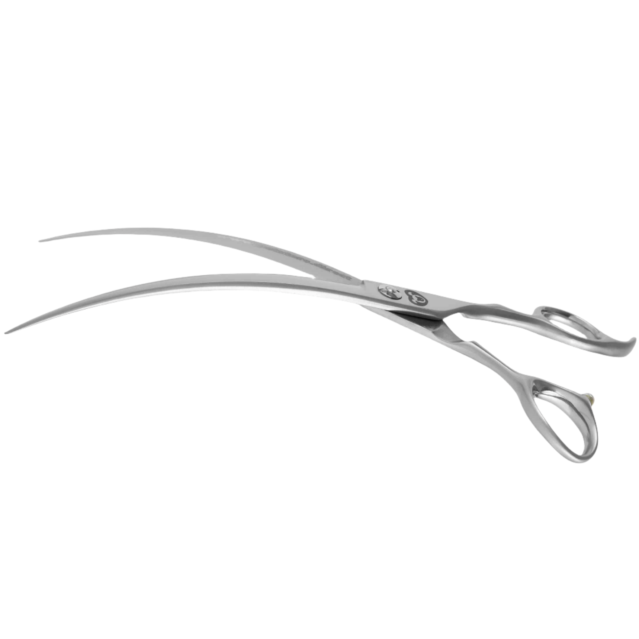 8-inch-premium-curve-petstore-direct