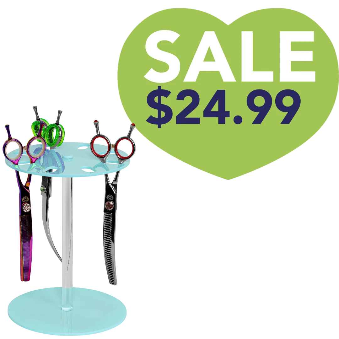 8_Scissor_Holder_Table_Aqua_by_PetStore.Direct