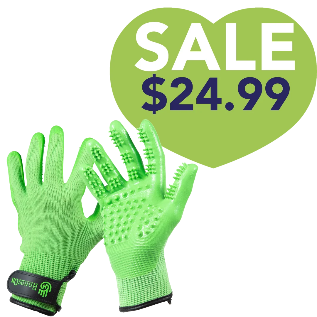 Green_Deshedding_Gloves_by_HandsOn_Gloves
