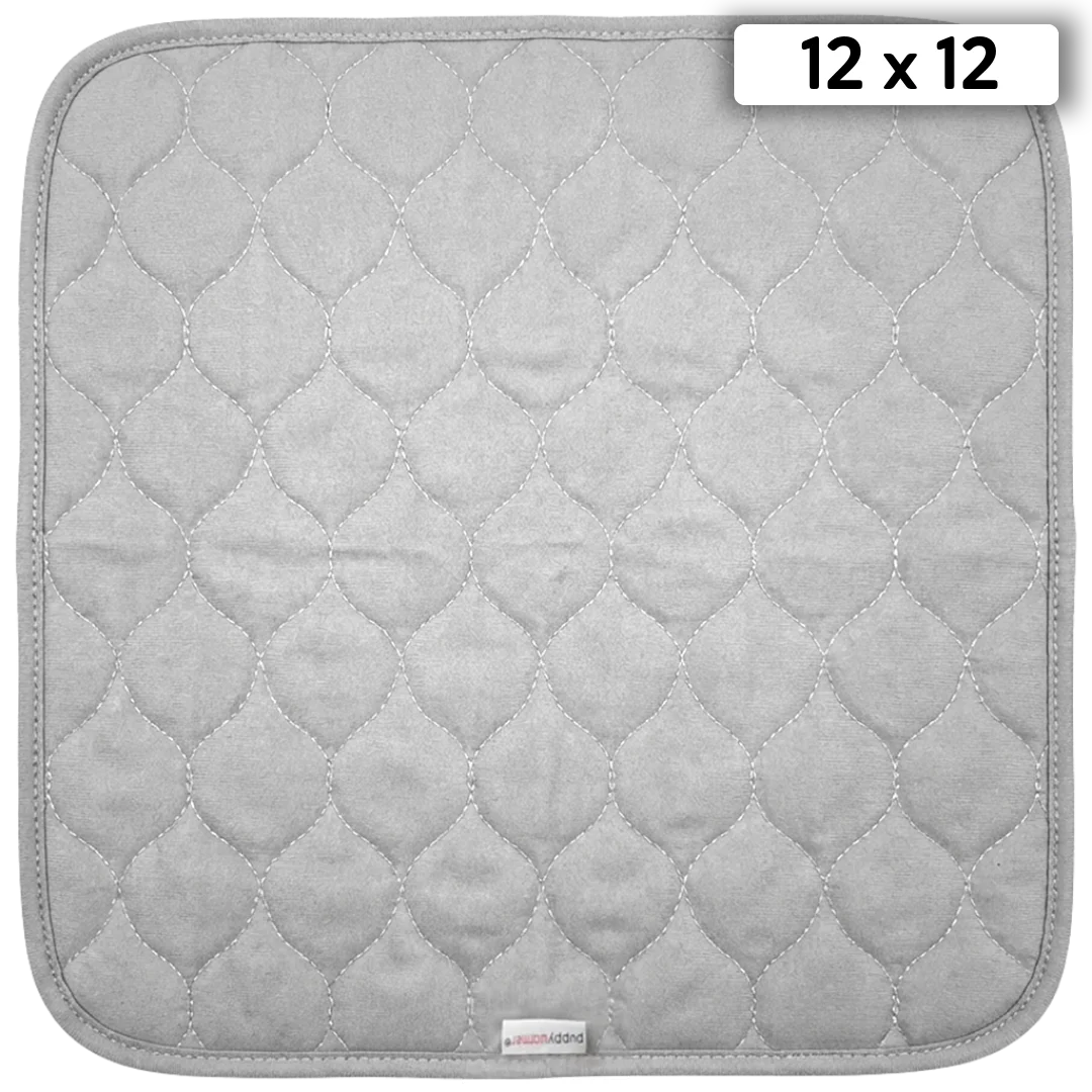 PPW22788-100