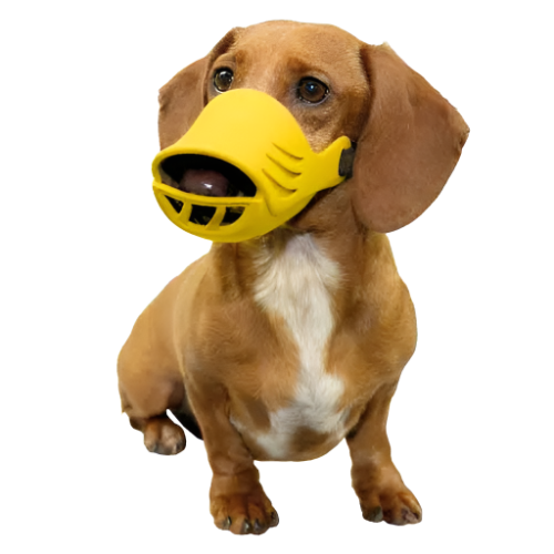 artero-xl-silicone-muzzle