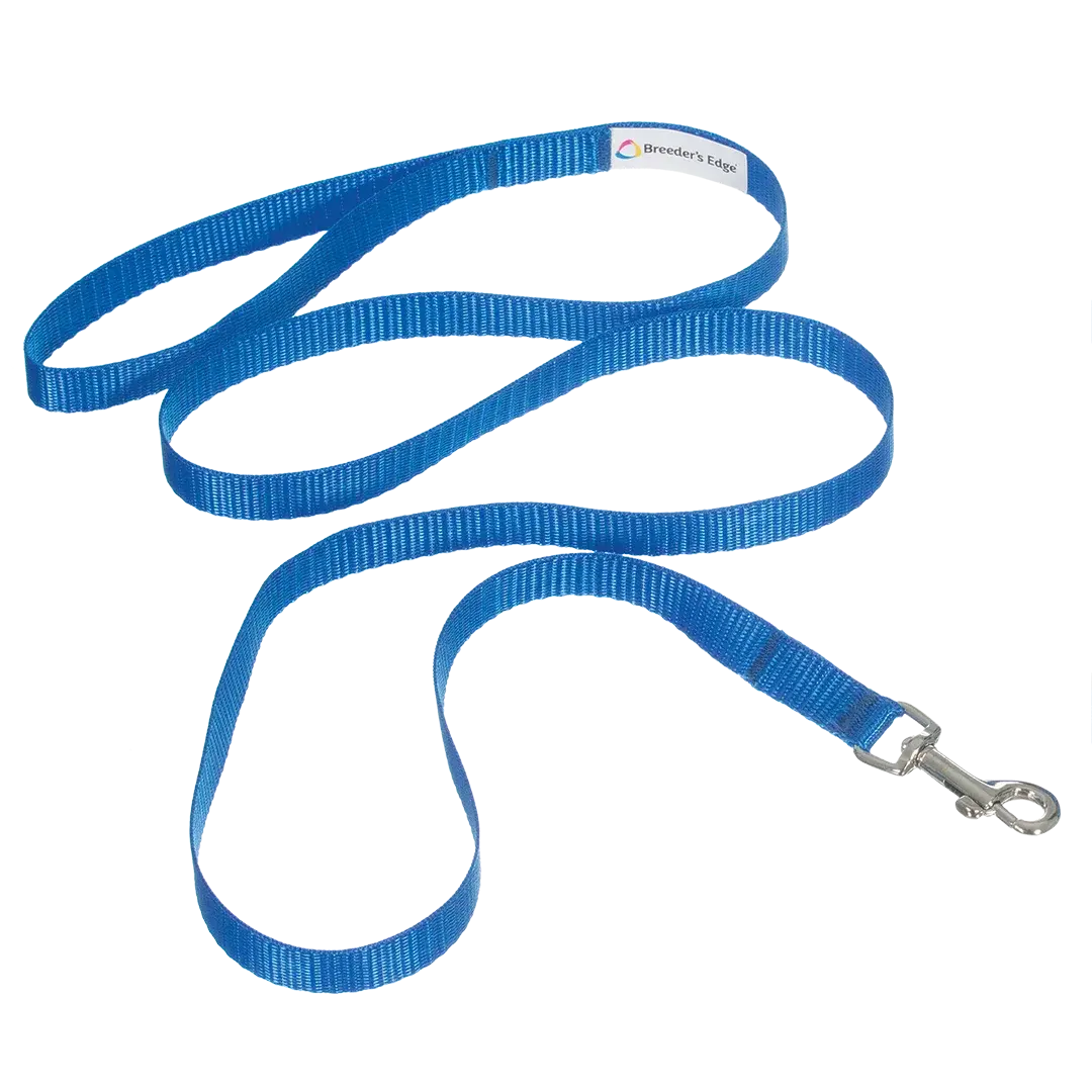 be-take-me-home-colar-leash-set-1