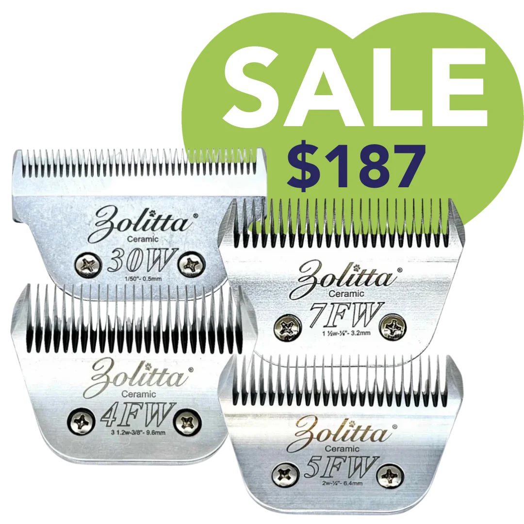 best-selling-wide-ceramic-blades-set-of-4-by-zolitta