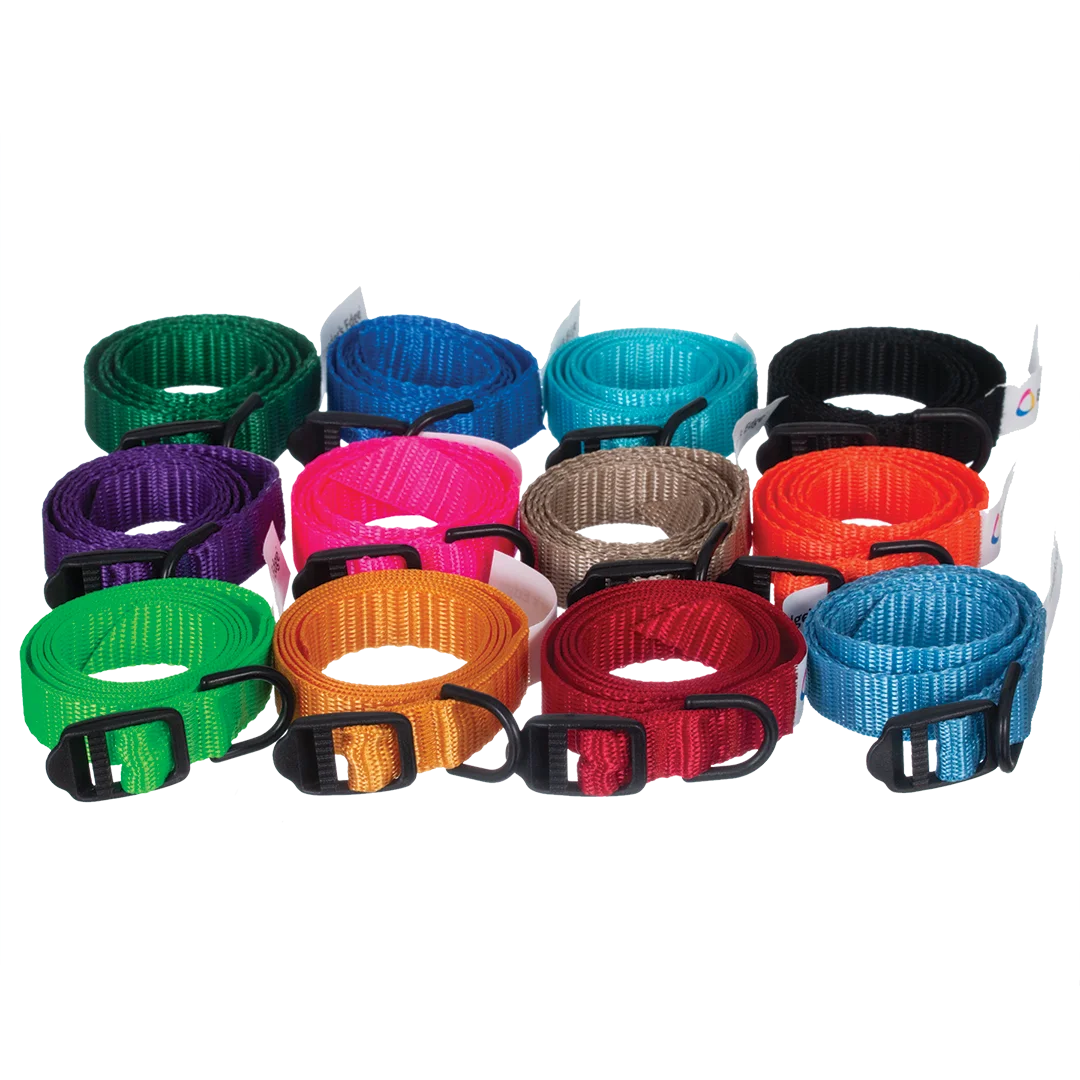 breeders-edge-id-me-take-me-home-collars-12-pk-assorted-colors-for-dogs-and-cats
