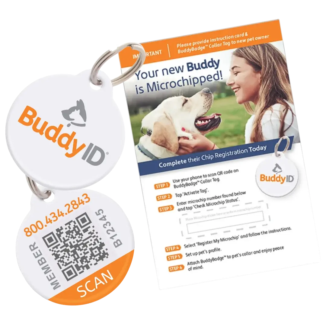 buddyid-buddybadge-collar-tag-with-registration