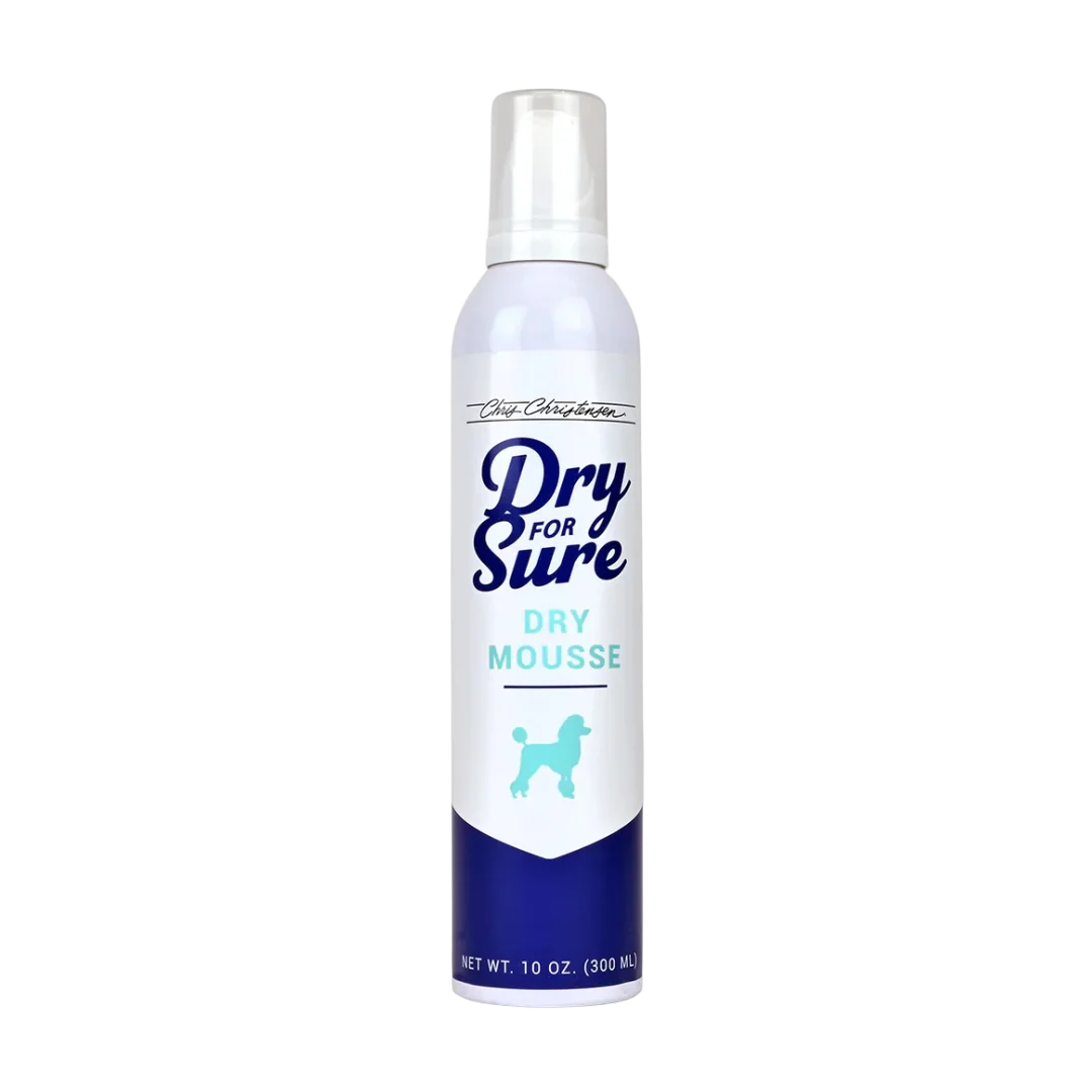 chris-christensen-dry-for-sure-dry-mousse-10oz