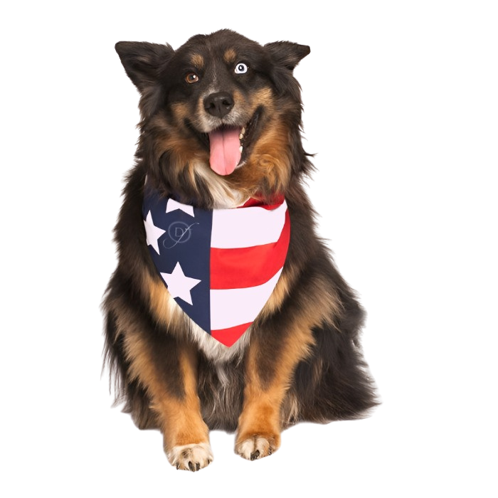 dog-fashion-living-american-flag-dog-bandana_4bfad294-581f-48d8-893b-cbce15314739