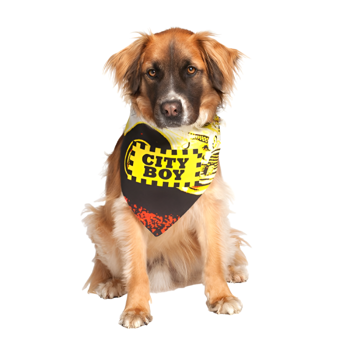 dog-fashion-living-city-boy-dog-bandana