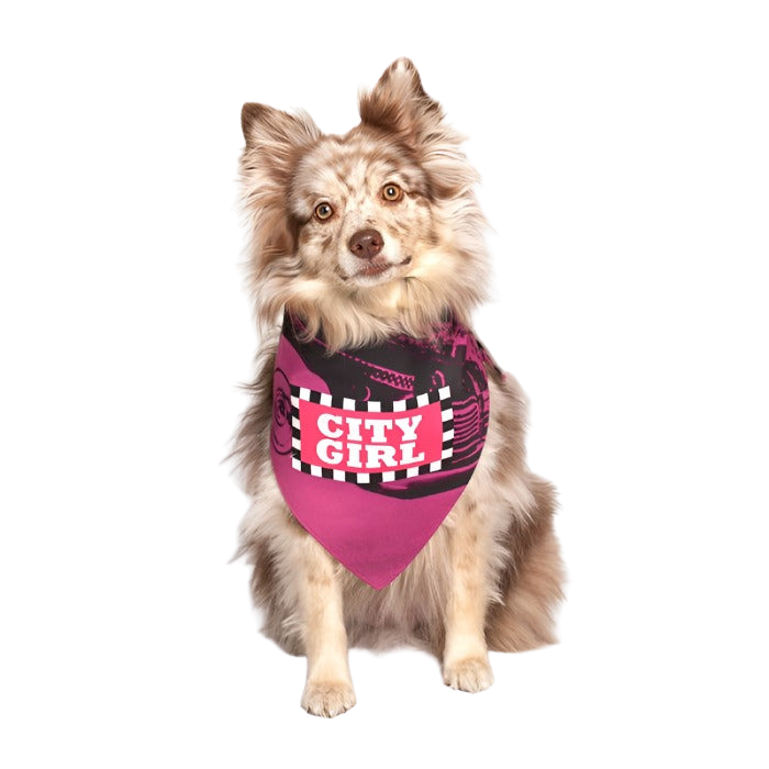 dog-fashion-living-city-girl-dog-bandana_4cb8bb71-7e93-4e8d-8dab-6817d10a4633
