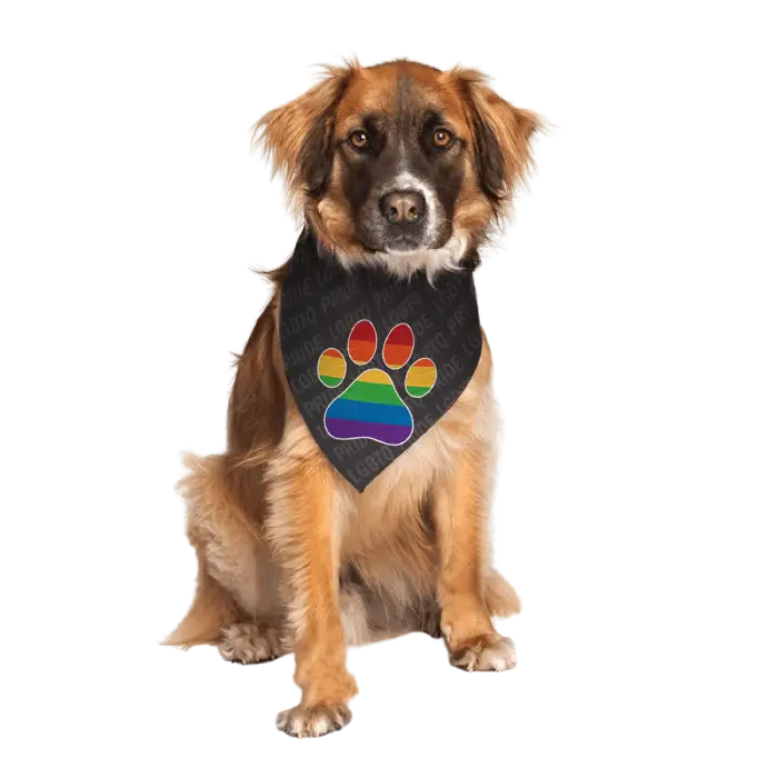 gay-flag-paw-bandana-for-dogs-dog-fashion-living