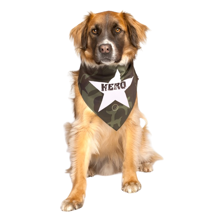hero-military-dog-bandana-dog-fashion-living_2539e165-a0c4-4b39-9b7a-3e9f4788309a