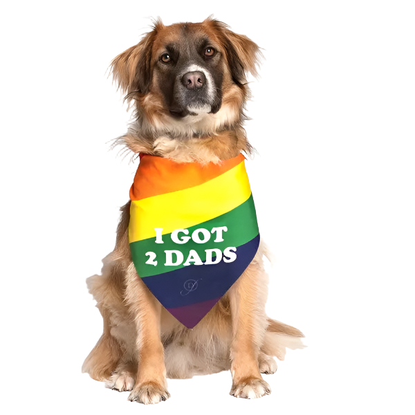 i-got-2-dads-dog-fashion-living