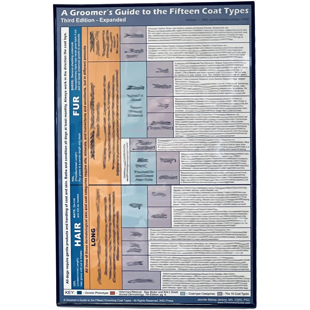 jennifer-bishop-jenkin-15-coat-types-poster-big_c5e65ec1-be14-4a67-b63e-4cf8cbe01e7e