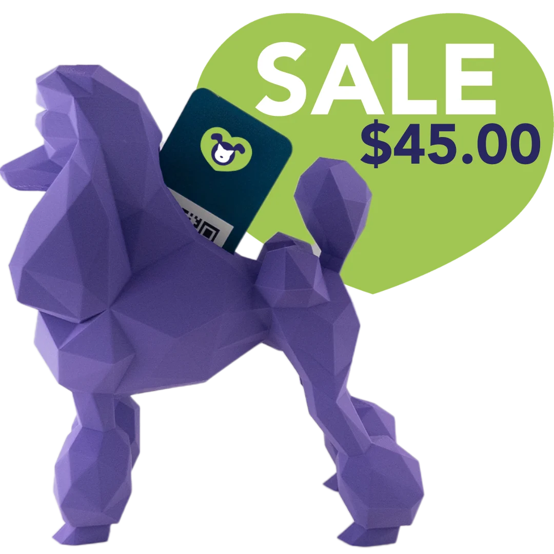 kumpe3d-poodle-business-card-holder-purple