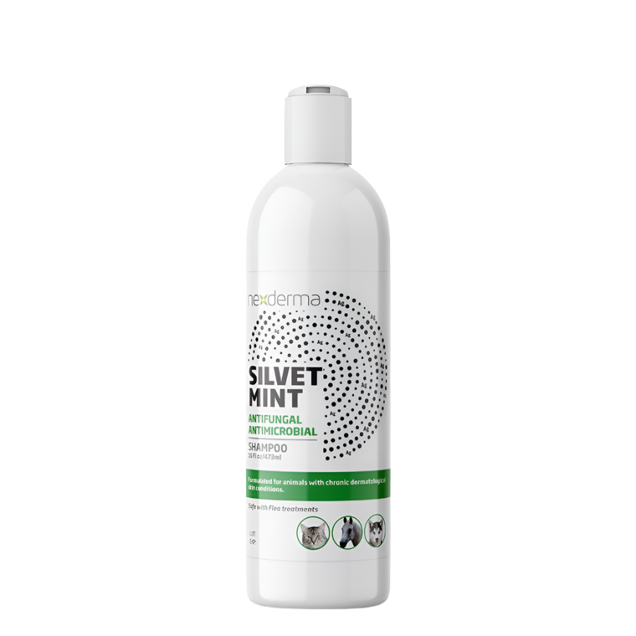 nexderma-silvet-mint-antifungal-antimicrobial-shampoo-16oz-for-dogs_2024-06-26T18_18_47.464Z