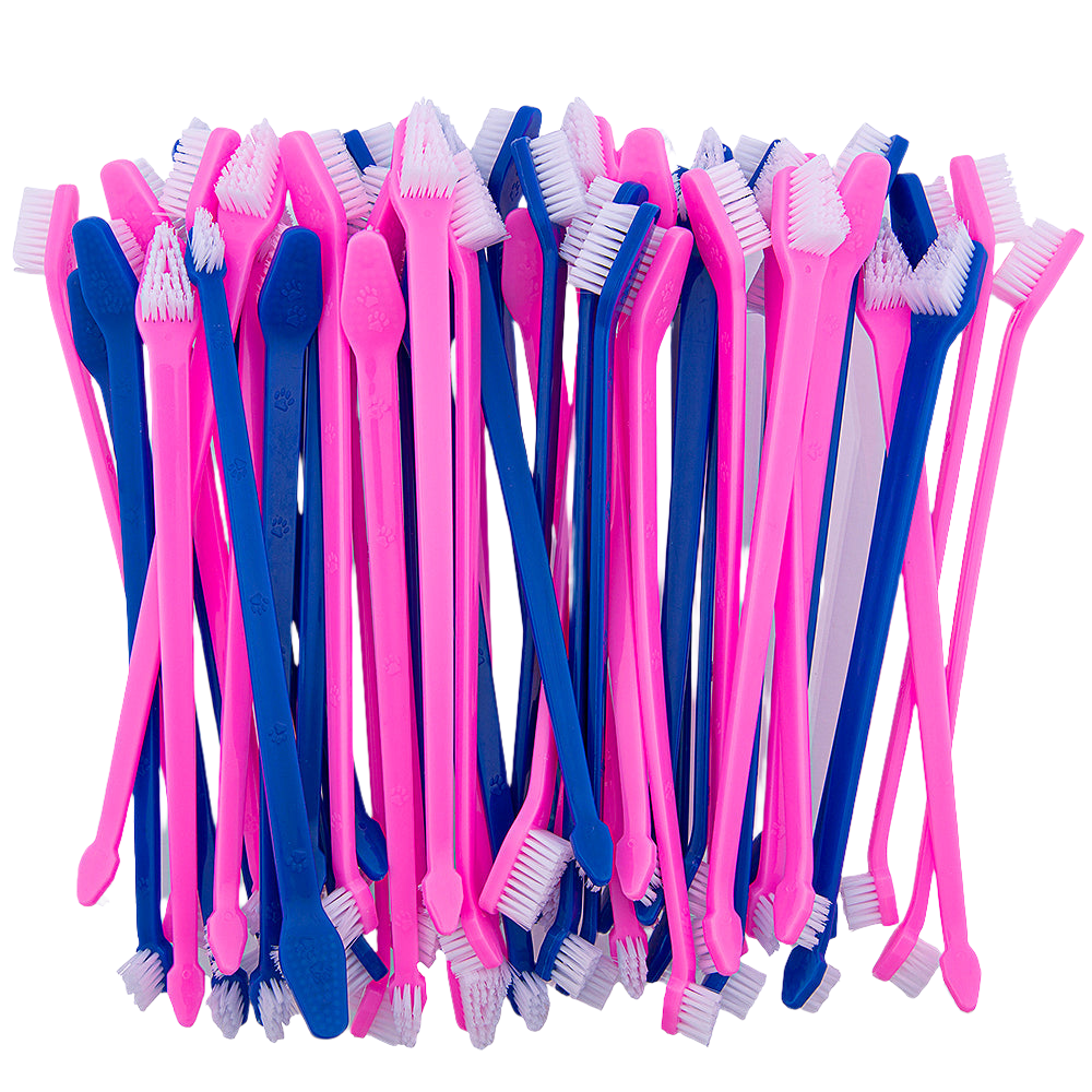 petstore-direct-dual-end-tooth-brushes-50-count-pink-blue-for-dogs