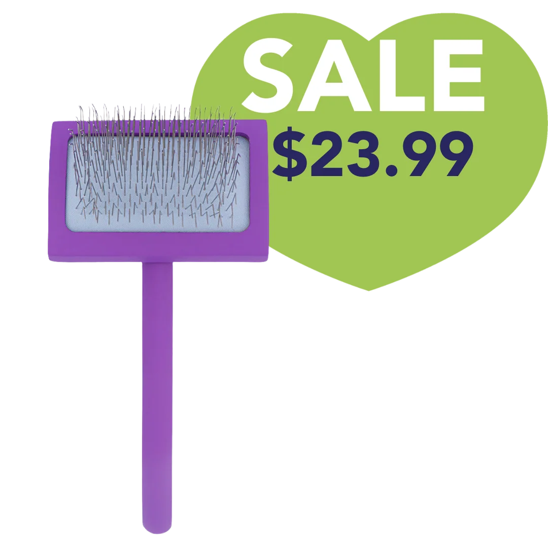 petstore-direct-medium-curved-purple-dematting-brush-for-dogs