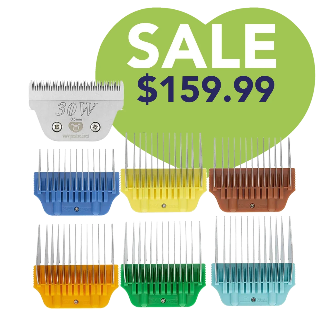 petstore-direct-wide-combs-colored-set-with-30-w-blade