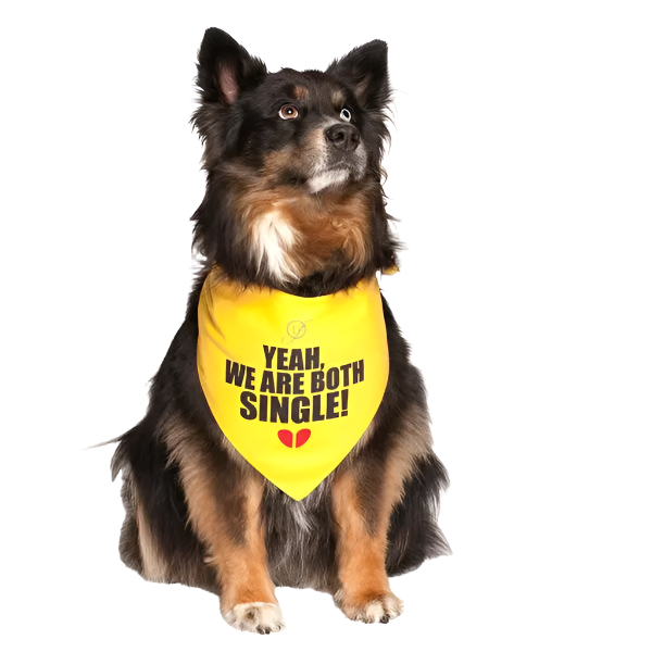 products-singles-with-dogs-bandana_2024-06-04T16_08_47.677Z